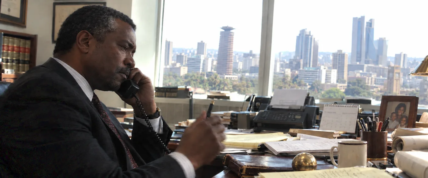 Business professional speaking on the phone at a desk beside large office windows.
